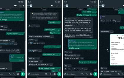 Polícia Civil de Birigui detém acusados de alterar telefone de farmácias no Google para aplicar golpes