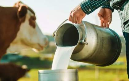 Fazenda remaneja R$ 707 mi em crédito para ajudar produtores de leite