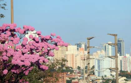 Sábado de sol tem aumento de temperaturas como destaque em Mato Grosso do Sul
