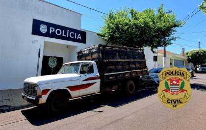 Condenado por furtos de gado na região é preso em Birigui