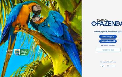 Estado regulamenta novo portal e-Fazenda