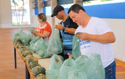 Assistência Social recebe itens do Programa de Aquisição de Alimentos destinado a famílias em vulnerabilidade