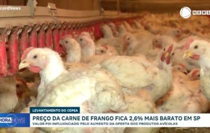 Preço da carne de frango fica mais barato em São Paulo