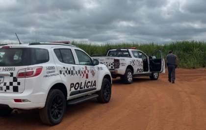 Corpo de mulher é encontrado em canavial em Araçatuba