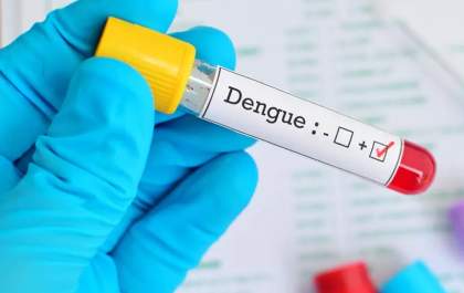 Idosa de 104 anos morre por dengue em Guarulhos&nbsp; SP