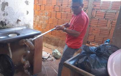Cobra ataca criança no quintal de casa