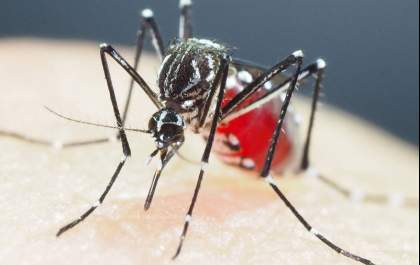Mesmo com 3 casos registrados, Andradina não baixa a guarda contra a dengue