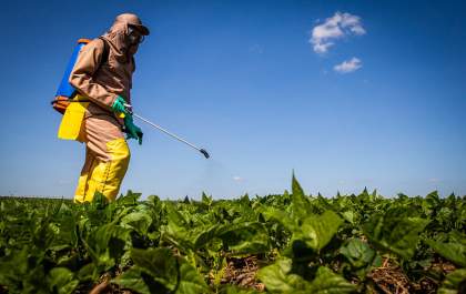 Meio Ambiente de Castilho anuncia curso gratuito de segurança com defensivos agrícolas