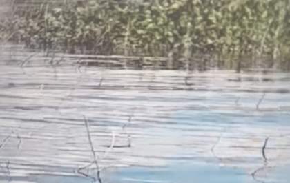 Corpo de homem é encontrado no rio Tietê, em Buritama