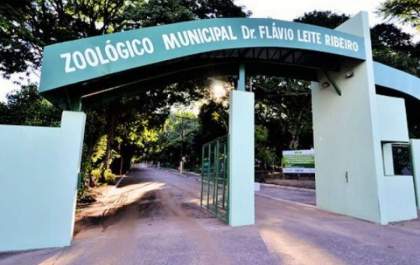 Fiação do laboratório do zoológico de Araçatuba é furtada