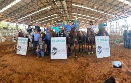 Araçatuba recebe a 3ª etapa do Campeonato Paulista de Ranch Sorting e Team Pening