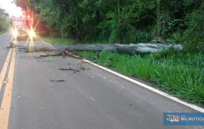 Acidente fatal na Estrada Municipal, mulher morre após colisão com animal