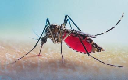 Araçatuba intensifica combate à dengue