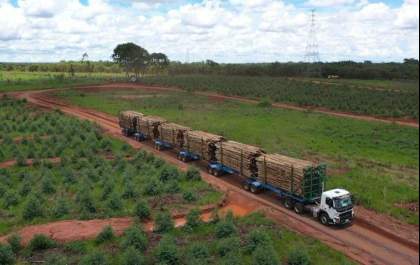 Economia de Mato Grosso do Sul cresce o dobro da média nacional