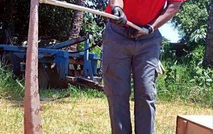 Brigada Municipal captura duas jiboias em castilho neste sábado