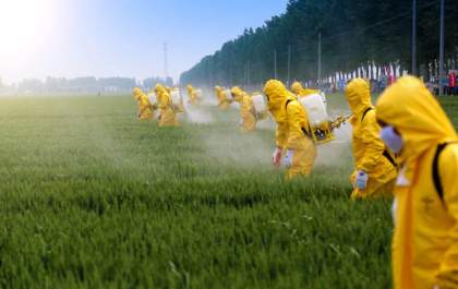 Meio Ambiente e parceiros fazem campanha de coleta de embalagens de defensivos agrícolas
