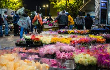 Vendas para o Dia da Mulher movimentam Feira de Flores da Ceagesp
