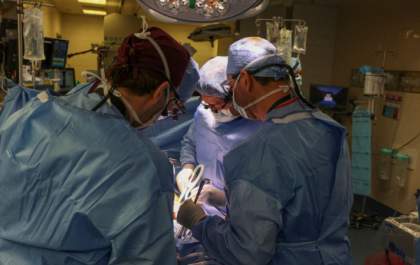 Primeiro transplante de rim de porco para humano é realizado com sucesso