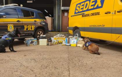 Com auxílio de cães de faro, PRF e Correios realizam operação de combate ao narcotráfico