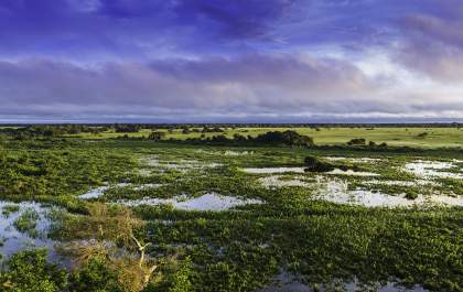 Ano de 2024 pode ser um dos mais secos da história do Pantanal