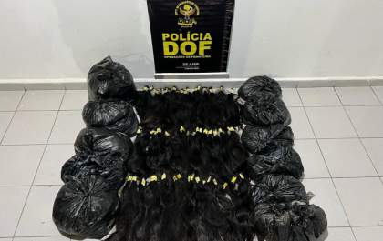 DOF apreende mais de 40 kg de cabelo humano