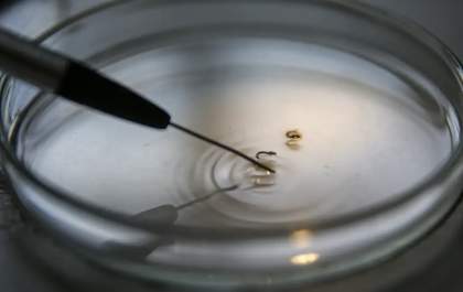 Brasil supera 1 mil mortes por dengue este ano