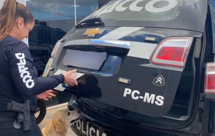 Polícia Civil do Mato Grosso do Sul prende foragido da justiça de São Paulo
