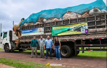 AGROTÓXICOS: Recolhimento de embalagens tem saldo positivo