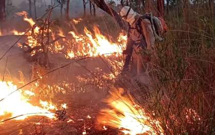 Governador assina decreto de emergência ambiental por 180 dias em MS