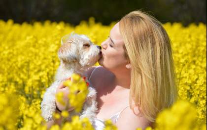 Cuidado com os beijos que você dá e recebe dos pets