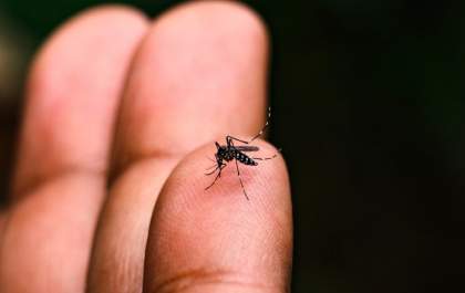 Saúde divulga boletim de dengue em Três Lagoas