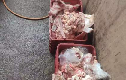 Polícia apreende carne estragada com insetos em estabelecimento