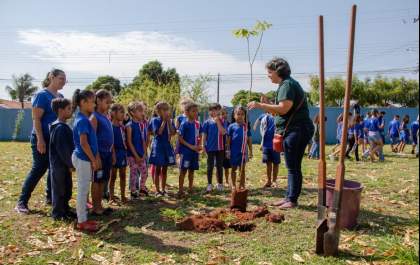 Três Lagoas é reconhecida como uma das 34 cidades do Brasil com gestão de excelência em arborização