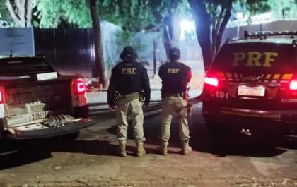 PRF apreende 829 Kg de maconha na BR-262