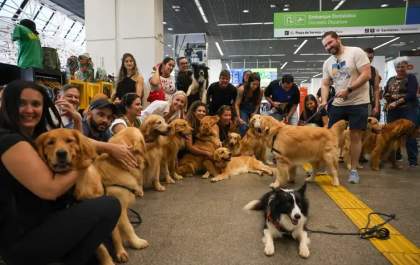 Após morte de Joca, tutores se manifestam no aeroporto de Brasília