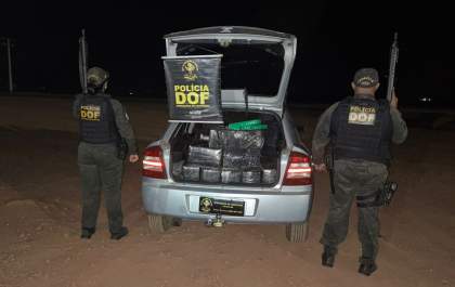 DOF apreende homem com mais de 600 quilos de maconha