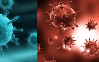 Internações e mortes por influenza e vírus sincicial aumentam no país