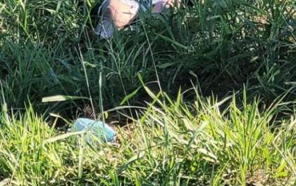 Corpo de homem é encontrado às margens da BR 262 em Ribas do Rio Pardo