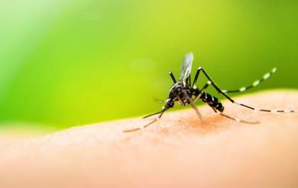 Mato Grosso do Sul registra mais uma morte por Chikungunya em 2025
