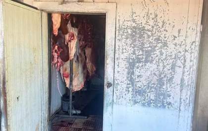Operação conjunta resulta na prisão de homens por abate e comércio de carne clandestina