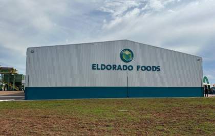 Nova fábrica de fécula de mandioca em MS promete gerar 330 empregos