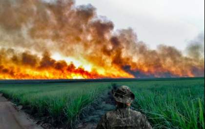 Clealco oferece R$ 10 mil de recompensa a quem ajudar a identificar responsáveis por incêndios