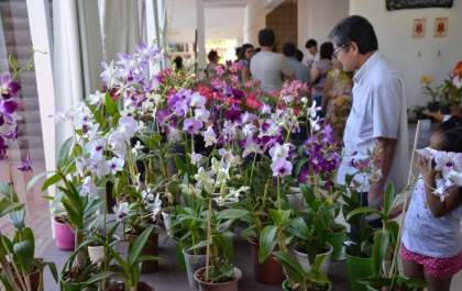 Feira de Orquídeas e Rosas do Deserto segue neste sábado (25) em Três Lagoas
