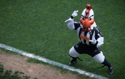 Relembre o penta do Atlético no Campeonato Mineiro e quantos títulos o Galo tem no Mineirão