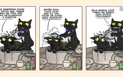Charge do dia: Banho de gato