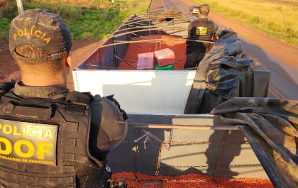Carreta bitrem carregada com mais de quatro toneladas de maconha é apreendida pelo DOF em Nova Itamarati