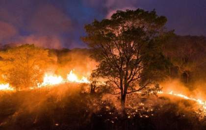 Brasil tem recorde de incêndios florestais no primeiro semestre de 2024