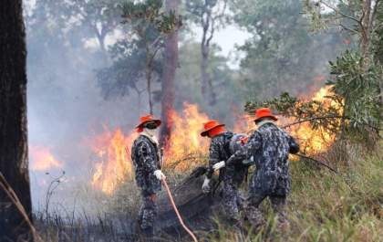 Sob coordenação dos bombeiros de MS, Força Nacional já atua no combate ao fogo no Pantanal