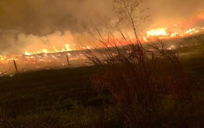Incêndio de Grandes Proporções Devasta Pastagens de Três Fazendas em Bataguassu