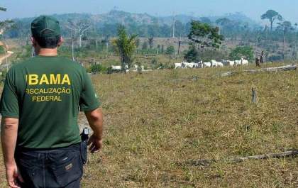 Gestão autoriza concurso público para o Ibama com 260 vagas